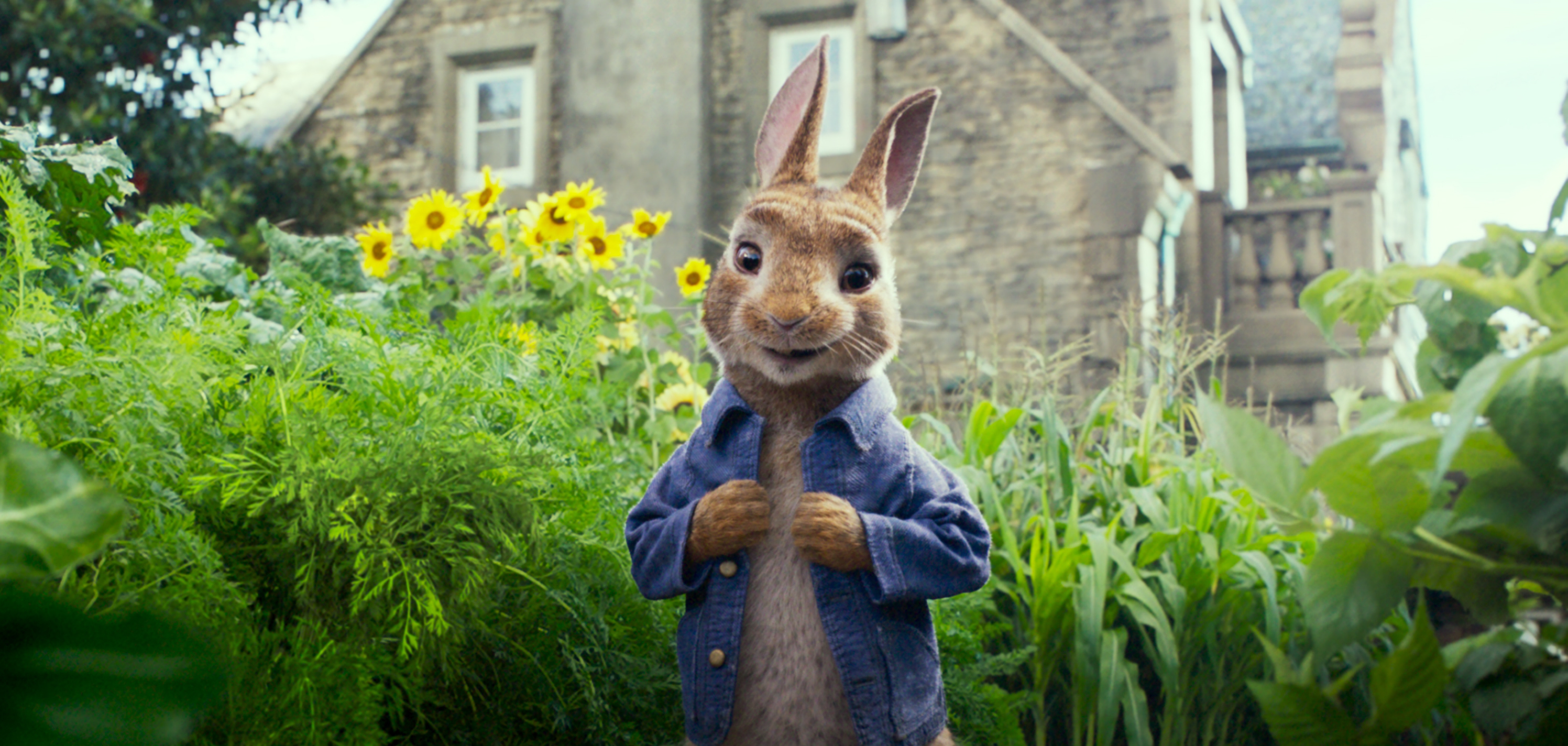 Peter Rabbit movie cast revealed | Gallery 