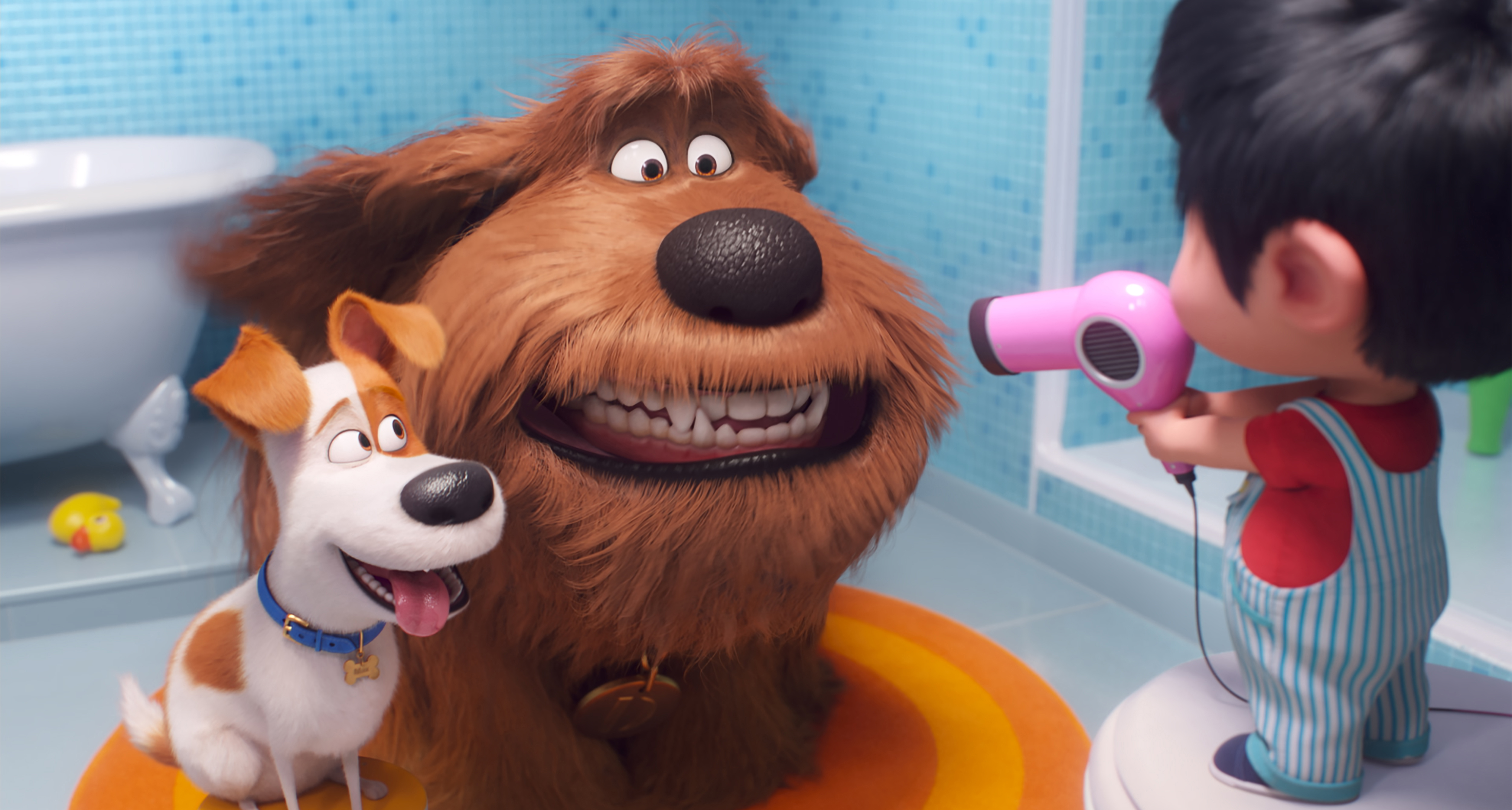 The Secret Life of Pets Animated films humor is like a dog whistle  subjective  The Washington Post