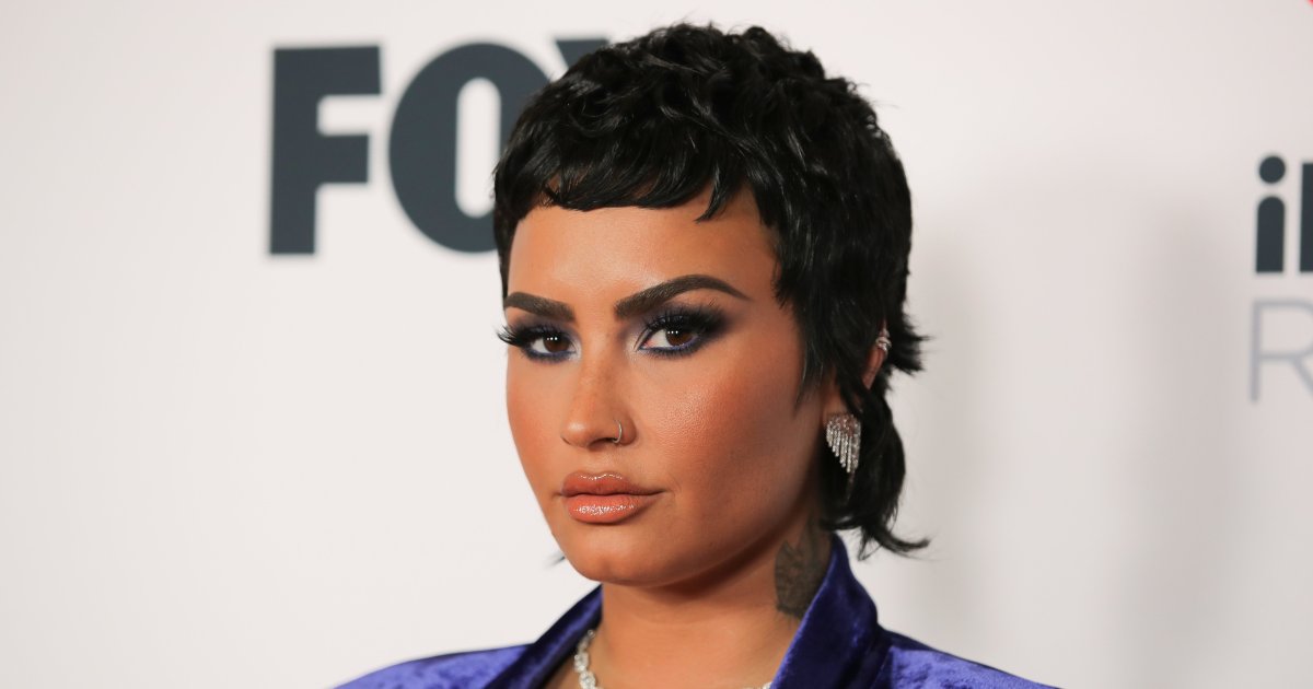 Demi Lovato updates pronouns again a year after nonbinary reveal, plus more celebs who came out.jpg