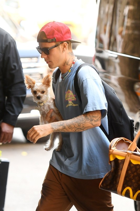 Celebrities out with their pets, walking their dogs in 2021 | Gallery ...