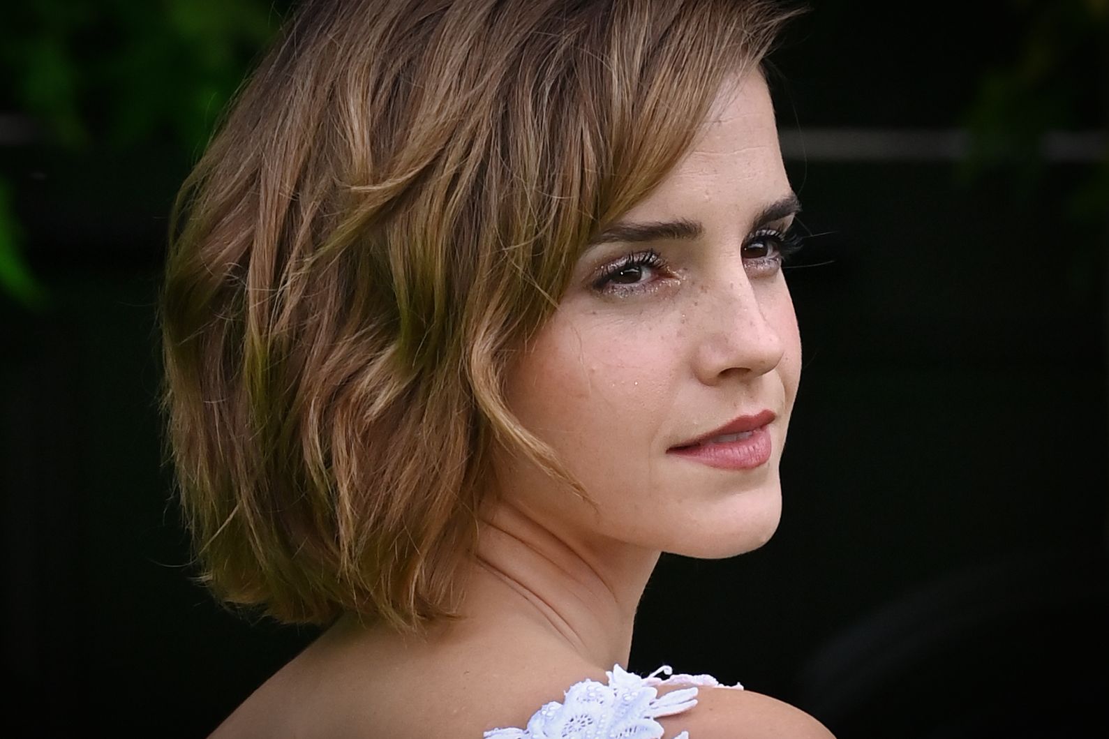 Emma Watson Cumshot Porn - Stars who attended Ivy League colleges and universities | Gallery |  Wonderwall.com