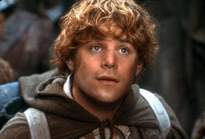 Lord of the Rings: The Fellowship of the Ring' cast: Where are they now?