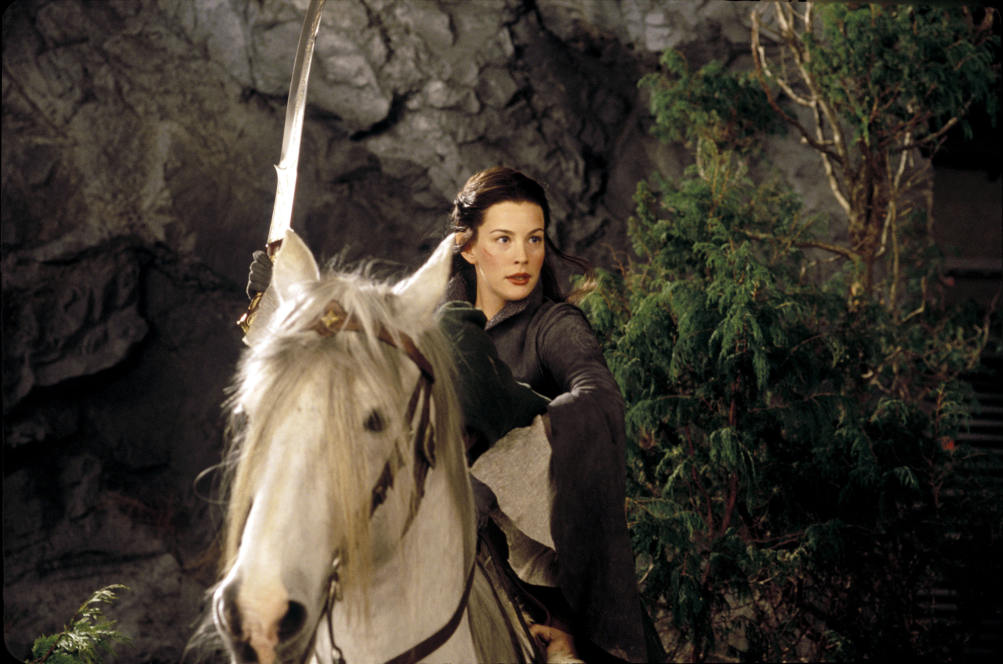 Liv Tyler, The Lord Of The Rings