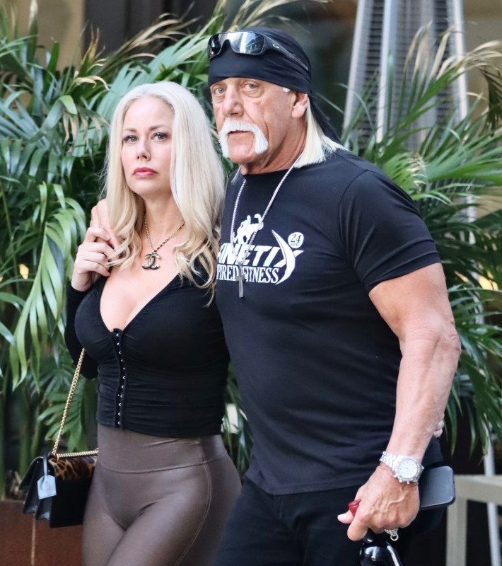 Hulk Hogan, girlfriend Sky Daily